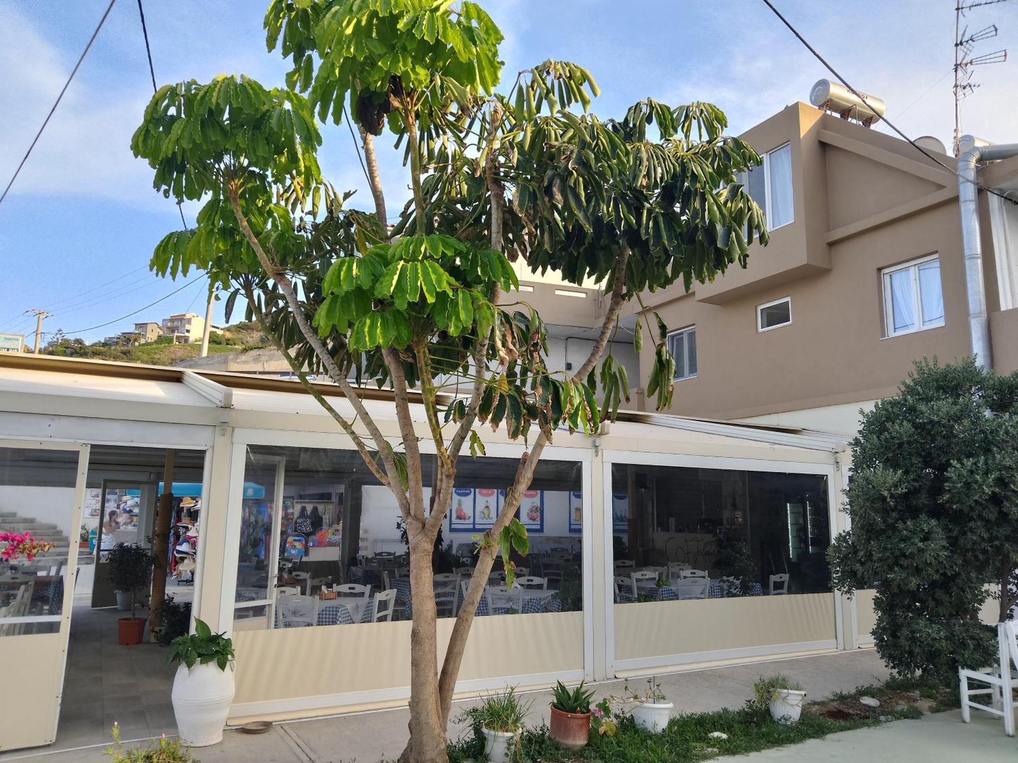 Anatoli Lygaria Apartments On The Beach Ligaria  Exterior foto
